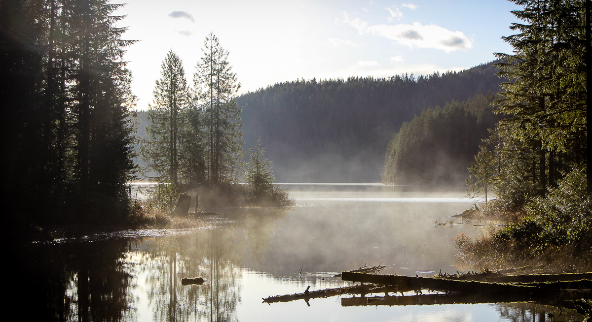 View from the shores of Armour Lake, Vancouver Island