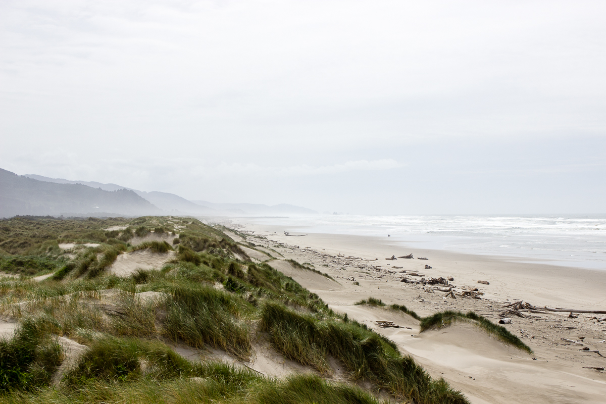 The dunes of Nehalem Bay