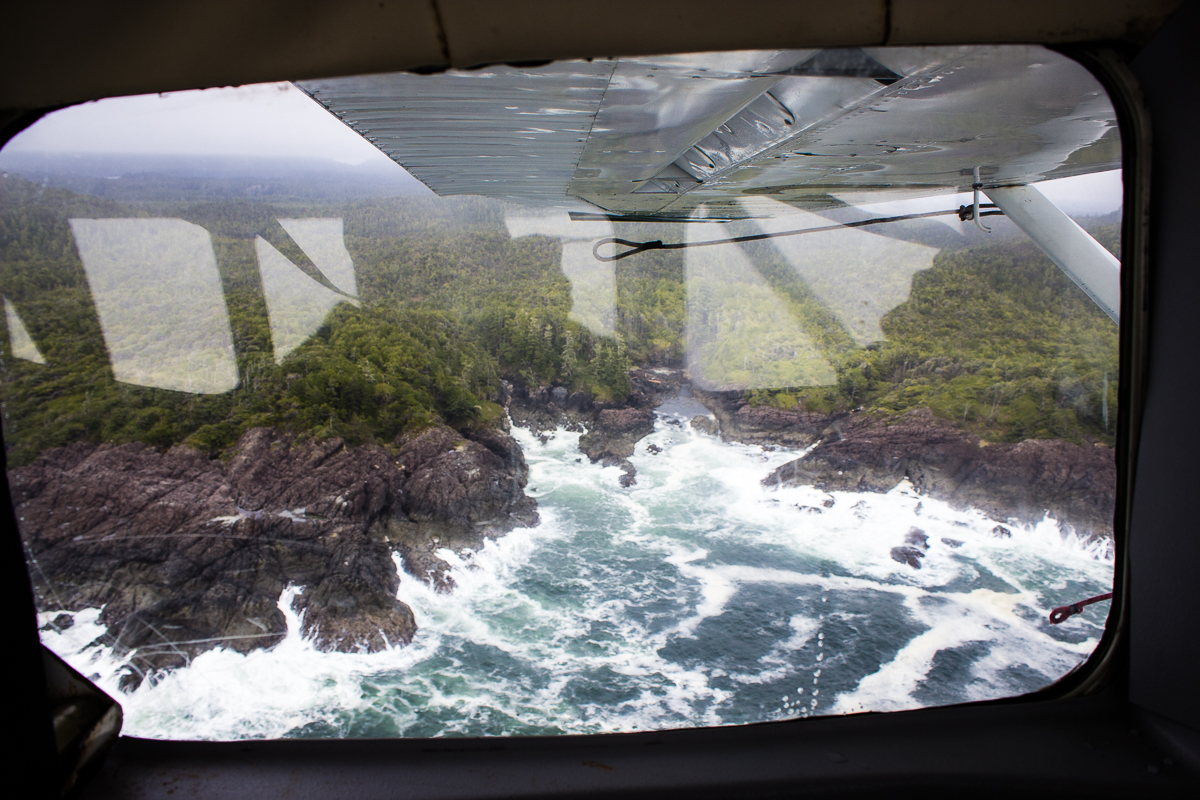 Tofino